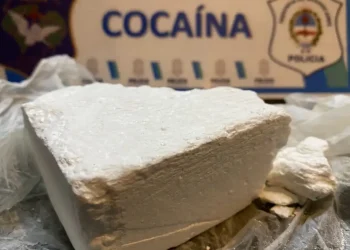 Ostende: secuestran cocaína valuada en más de un millón de pesos
