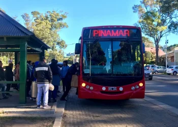 Transporte público: empresarios piden nuevo aumento en el boleto