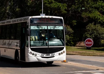 Provincia garantizará el transporte público gratuito para las elecciones