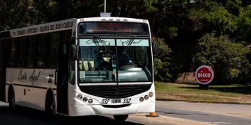 Provincia garantizará el transporte público gratuito para las elecciones
