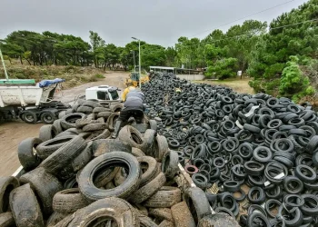 Retiran miles de neumáticos fuera de uso del Punto Verde
