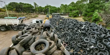 Retiran miles de neumáticos fuera de uso del Punto Verde