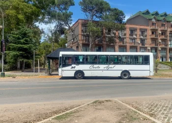 Elecciones: anuncian descuentos en pasajes de colectivo para pinamarenses