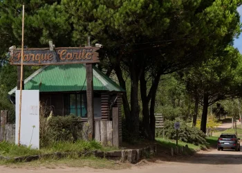 Cariló: Avanza el proyecto de loteo del barrio Zorzal