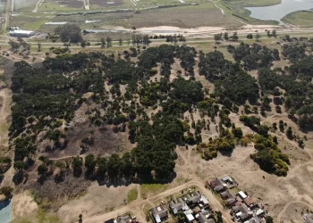 Cómo es el plan de viviendas que proyecta el municipio
