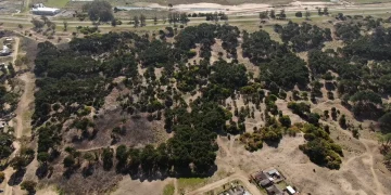 Cómo es el plan de viviendas que proyecta el municipio