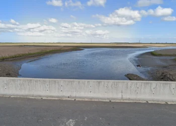 Cinco personas murieron en un accidente en la ruta 11