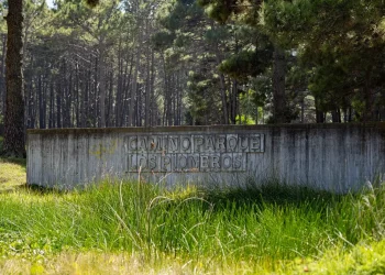 Convocan a gastronómicos al primer mercado regional