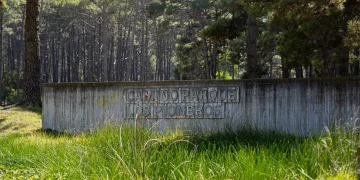 Convocan a gastronómicos al primer mercado regional