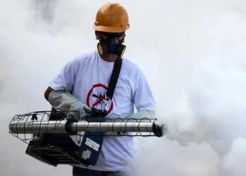 Preocupación en todo el país por el brote histórico de dengue