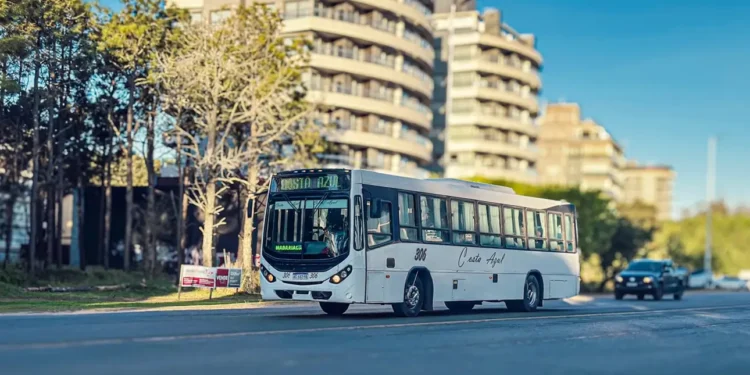 Transporte público en Pinamar