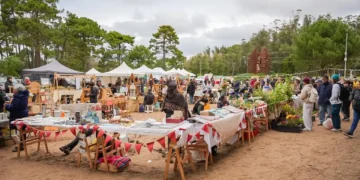 Raíces regresa a Pinamar con un evento regional lleno de actividades