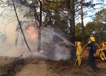 Defensa Civil de Villa Gesell lanza campaña contra incendios forestales