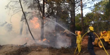 Defensa Civil de Villa Gesell lanza campaña contra incendios forestales