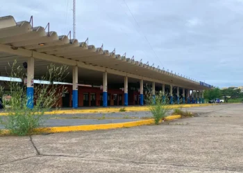 Pasajes con descuento para votar: convenio de Plusmar para este domingo
