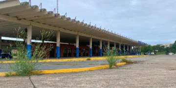 Pasajes con descuento para votar: convenio de Plusmar para este domingo