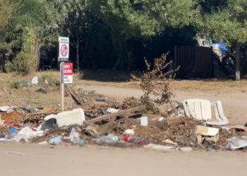 Microbasurales en Ostende: el problema ambiental que persiste