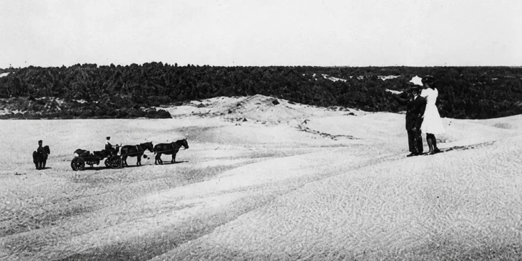 Forestación de Cariló en 1935