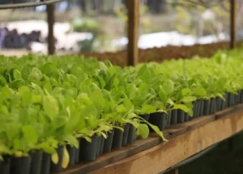 Pinamar ofrecerá seis capacitaciones gratuitas sobre producción y ambiente