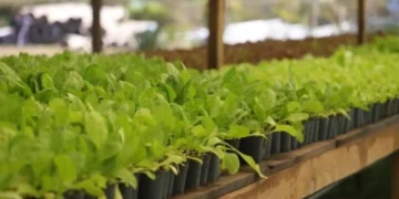 Pinamar ofrecerá seis capacitaciones gratuitas sobre producción y ambiente