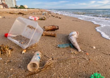 Censo de basura costera: se realizará el sábado en 22 localidades