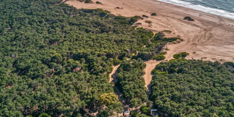 Pinamar Norte // Diego Medina